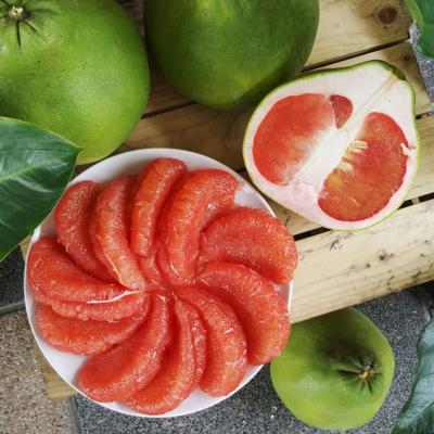 4 Manfaat Pink Pomelo untuk Kulitmu yang Cantik dan Sehat